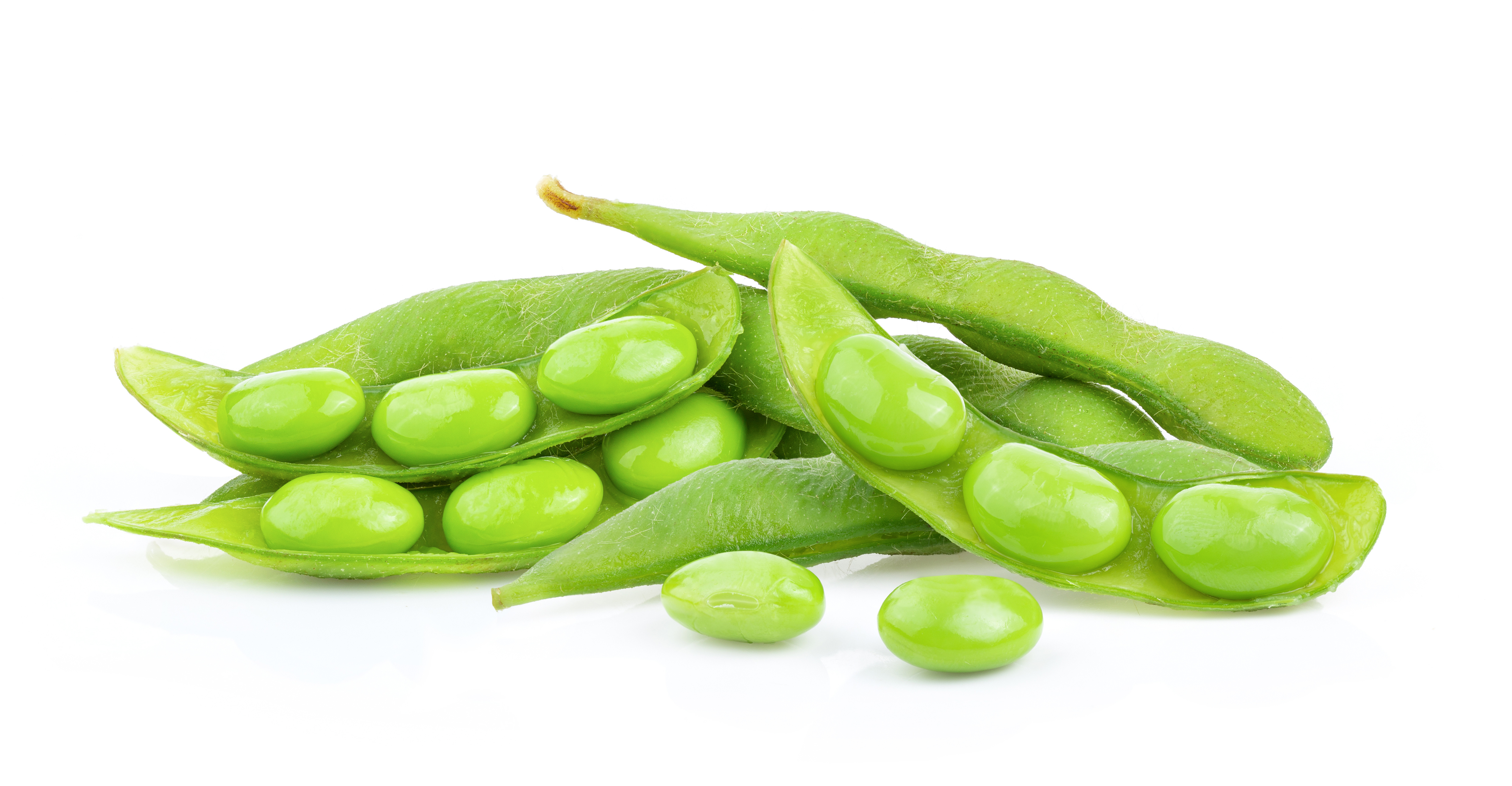 soy beans