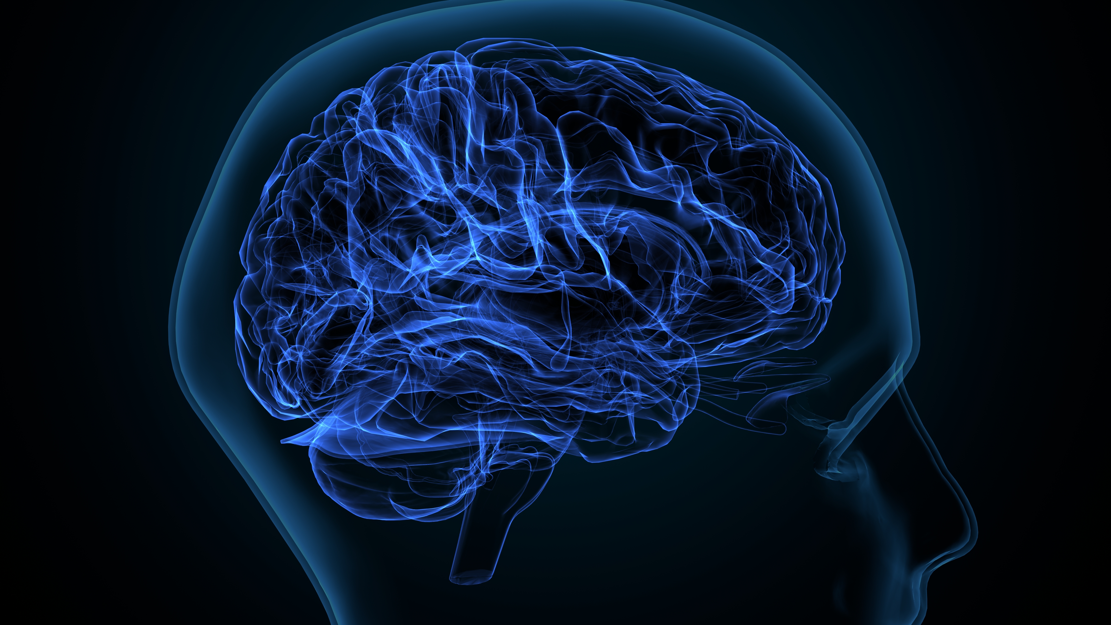 brain