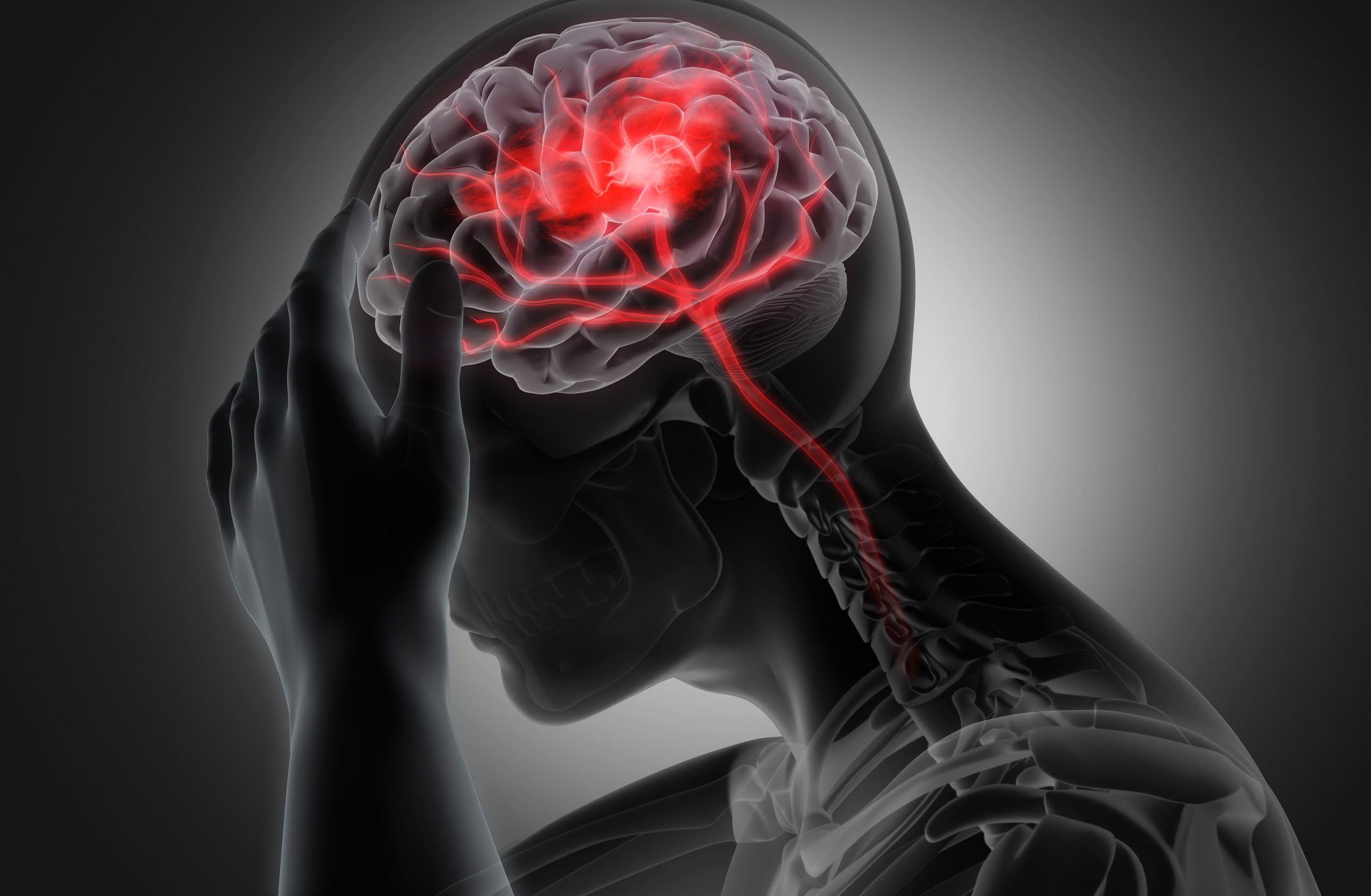 Brain