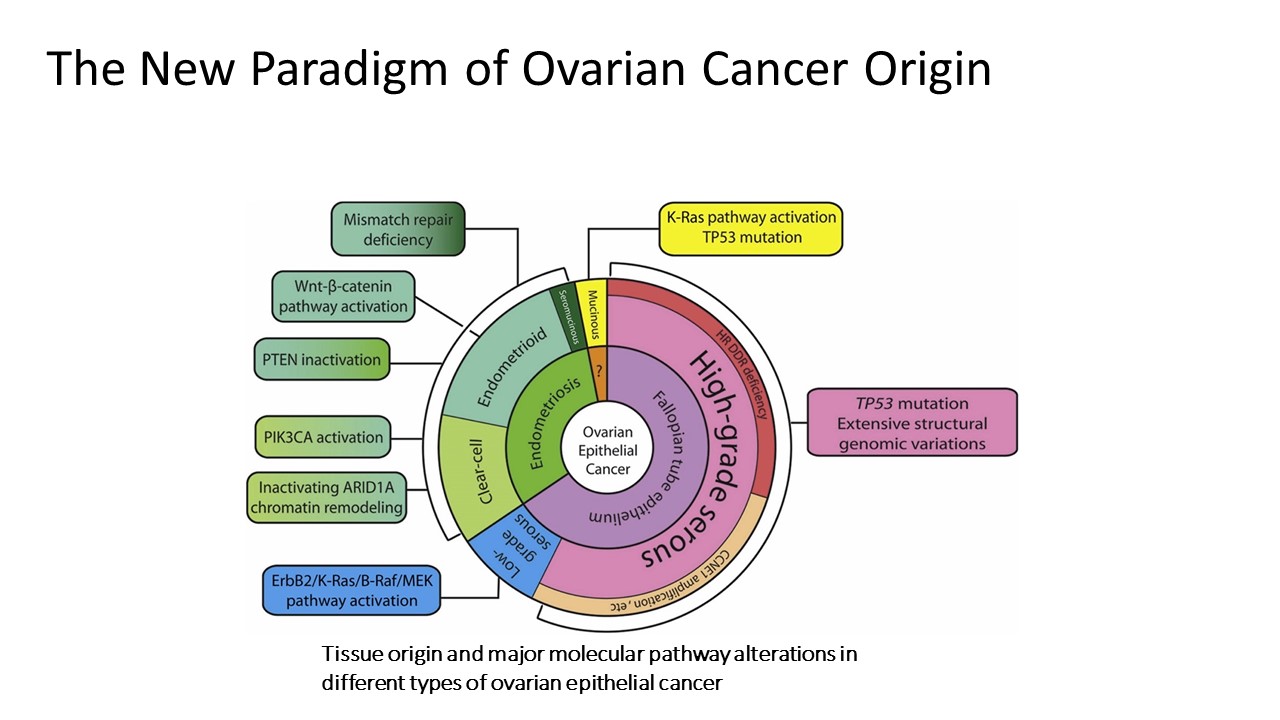Ovarian Cancer