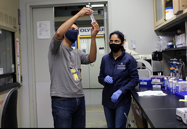 Two scientists looking at a test tube in a lab.