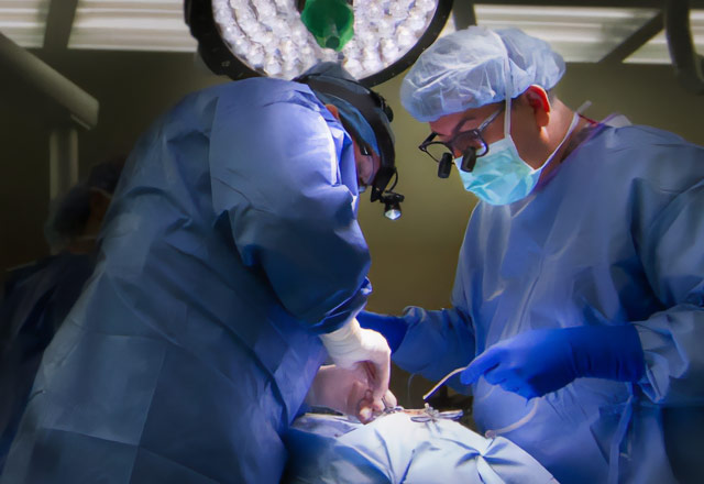 Neurosurgeons working in the operating room
