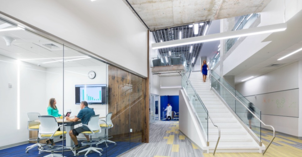 A conference room on the main level with a grand staircase to the second floor of the Johns Hopkins All Children's Research and Education Building