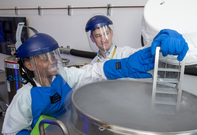 Research at Johns Hopkins All Children's