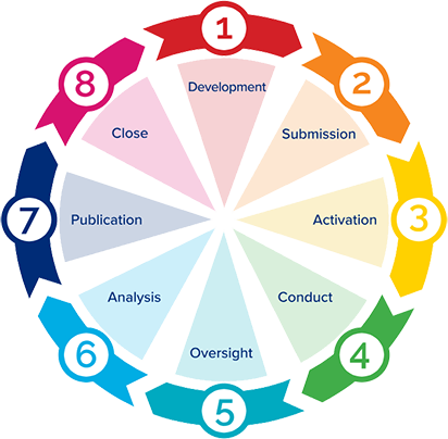 Stages of the Johns Hopkins All Children's Clinical Research Lifecycle