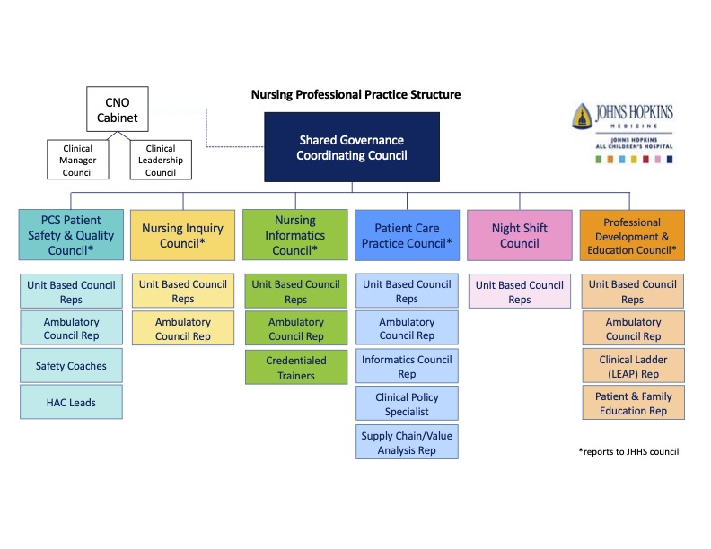 Nursing Professional Practice Structure Chart