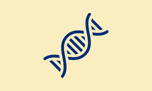 Research at Johns Hopkins All Children's