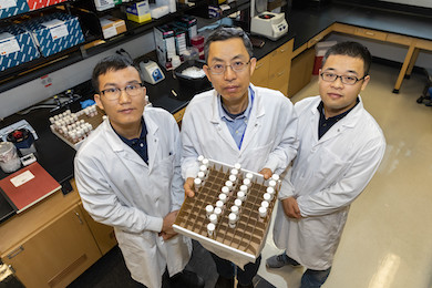 Rui Zhou, Ph.D., center, recently received a five-year National Institutes of Health grant to continue his research into a type of circular ribonucleic acid (RNA) and how they impact immune response. Pictured here with Weihong Liang, Ph.D ., left, and Wei Liu, Ph.D., right, in their lab.