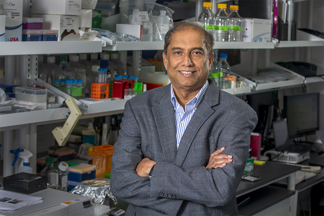 Ranjan Perera, Ph.D., in his lab at Johns Hopkins All Children's Hospital in 2019.
