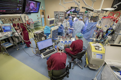 The heart surgery team at Johns Hopkins All Children's Hospital