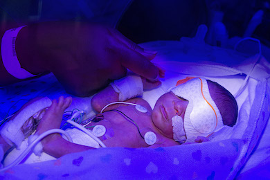 A baby in the neonatal intensive care unit at Johns Hopkins All Children's Hospital