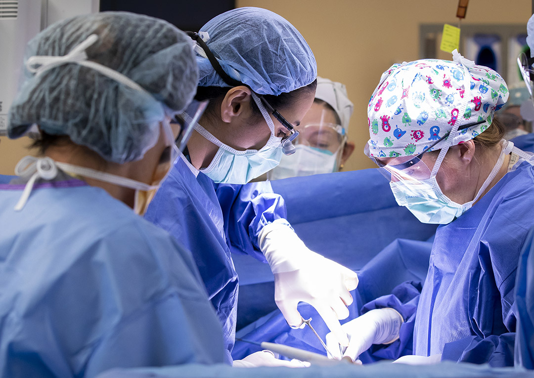 Women physicians at Johns Hopkins All Children's Hospital