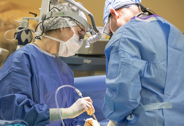 Surgery Program at Johns Hopkins All Children's Hospital