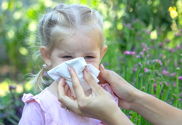 Image: A small girl getting help blowing her nose. 