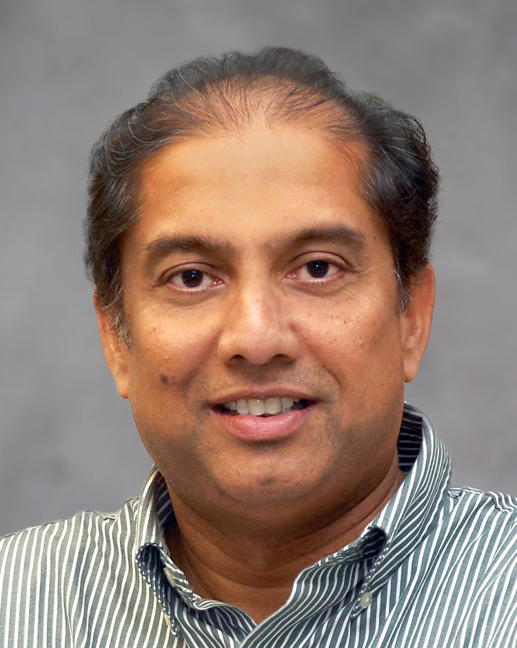 Ranjan J. Perera Ph. D.