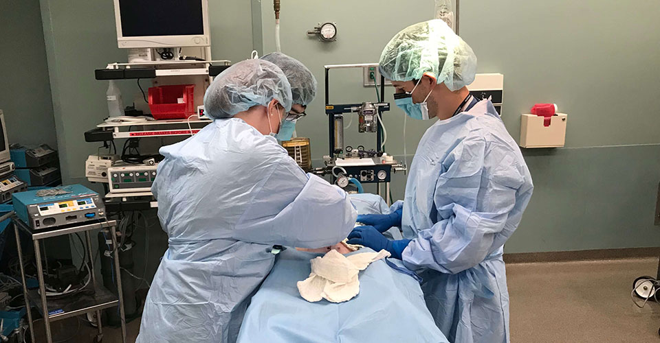 trainees learning minimally invasive surgery techniques