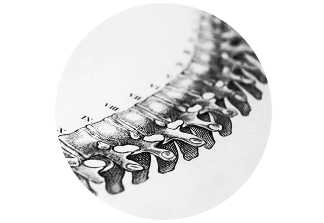 Blue Distinction Center for Spine Surgery Featured Slide 4