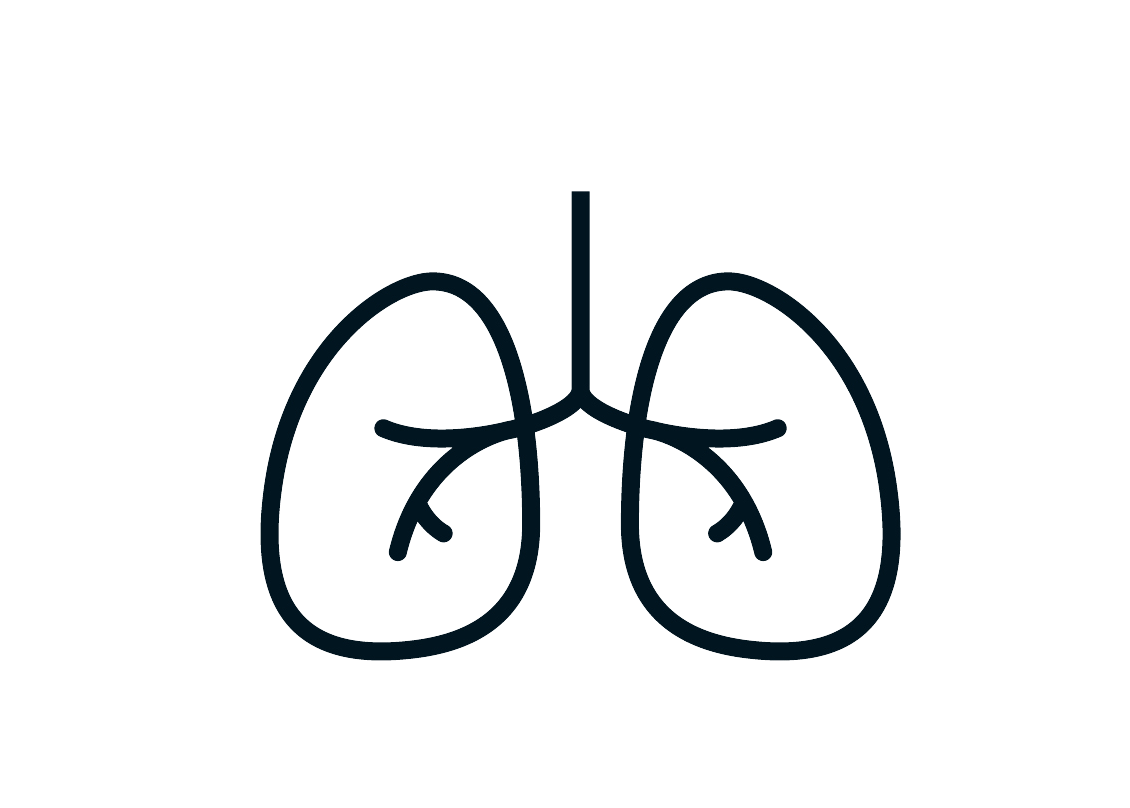 Illustrated lungs