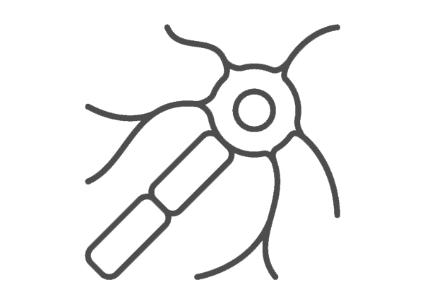 Simplified icon of a nerve cell