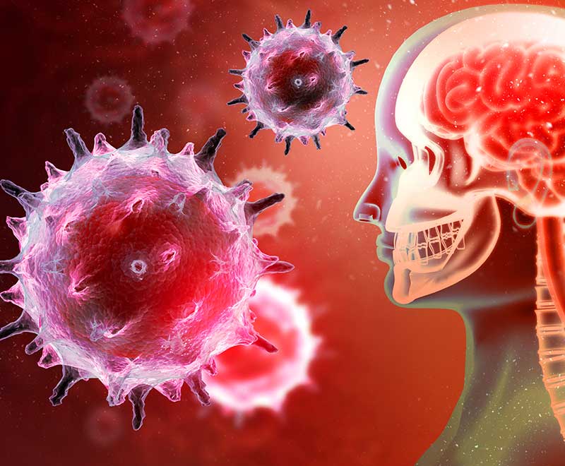illustration of a brain and viruses