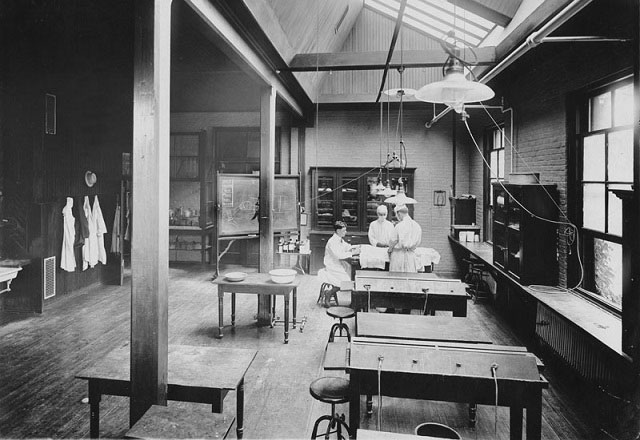 Students working in the lab