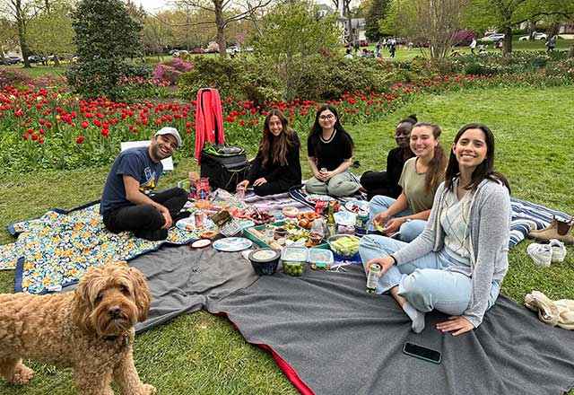 Meuhlschlegel lab members enjoy a picnic on blankets in a vibrant park. They're surrounded by red tulips, trees, and grass. A curious dog is in the foreground.