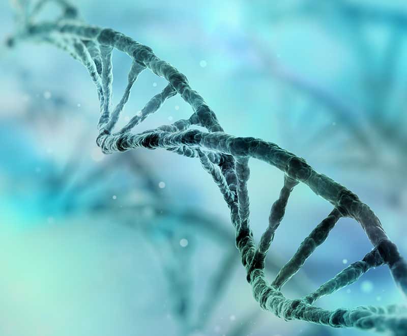 Strand of DNA