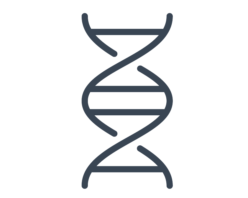 Icon of double helix DNA strands