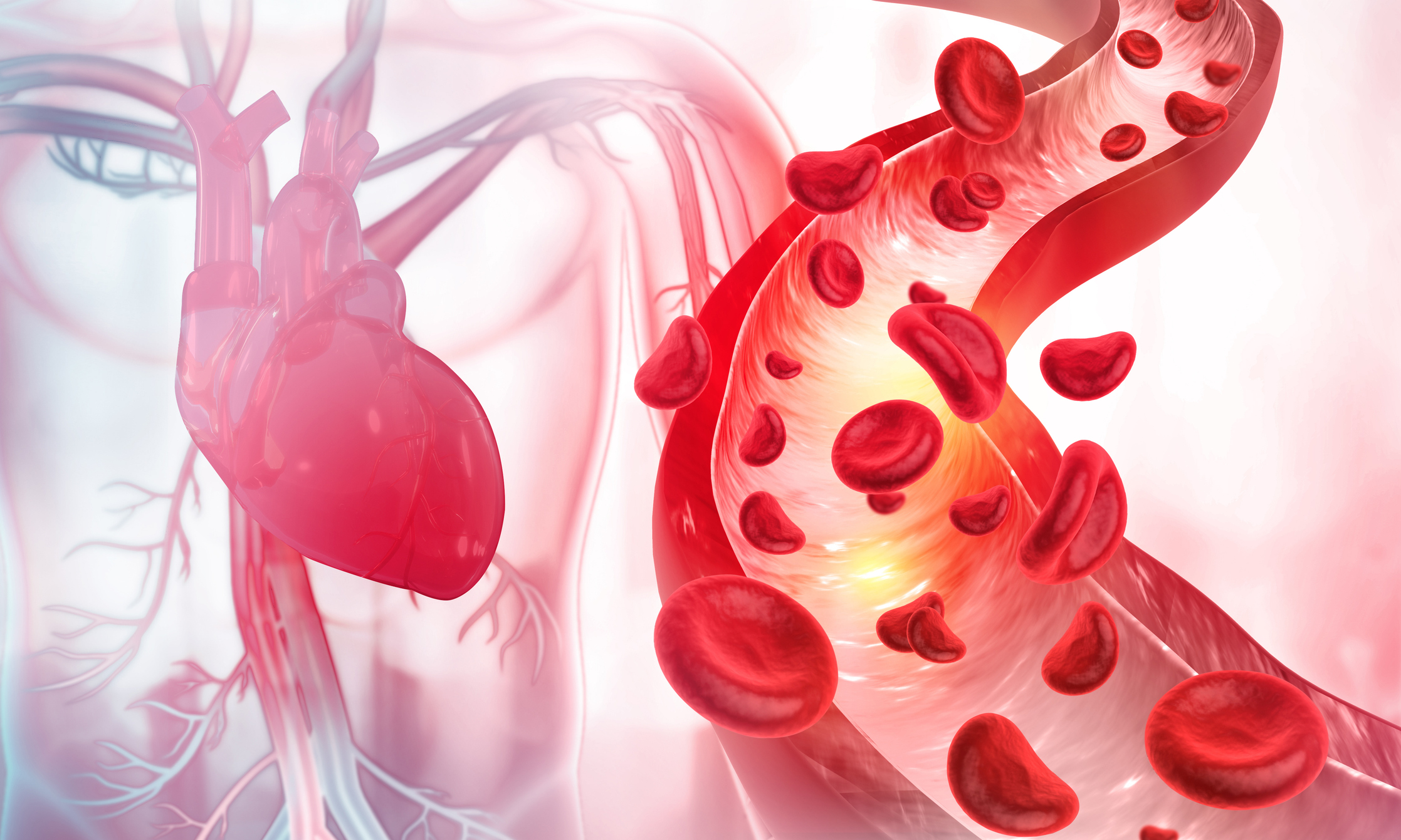 The New Cholesterol Guideline: What to Know | Johns Hopkins Medicine