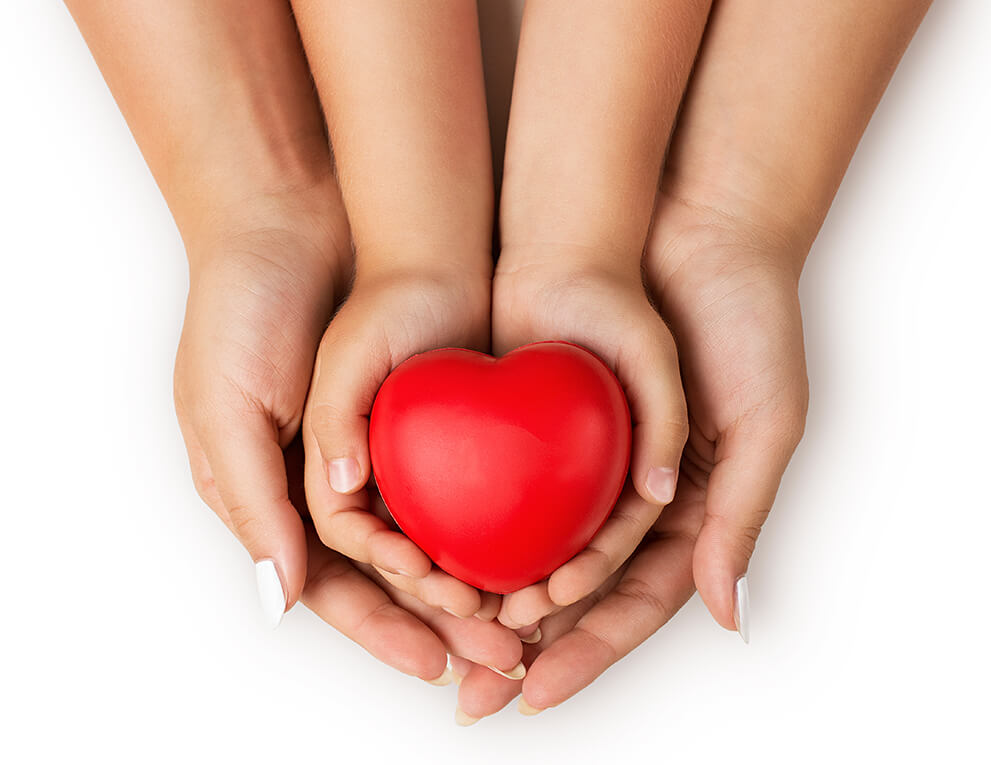 adult and child hands holding a red plastic heart