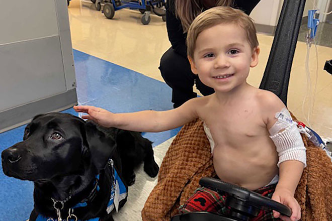 Faculty dog Rosalina with young patient, Jameson