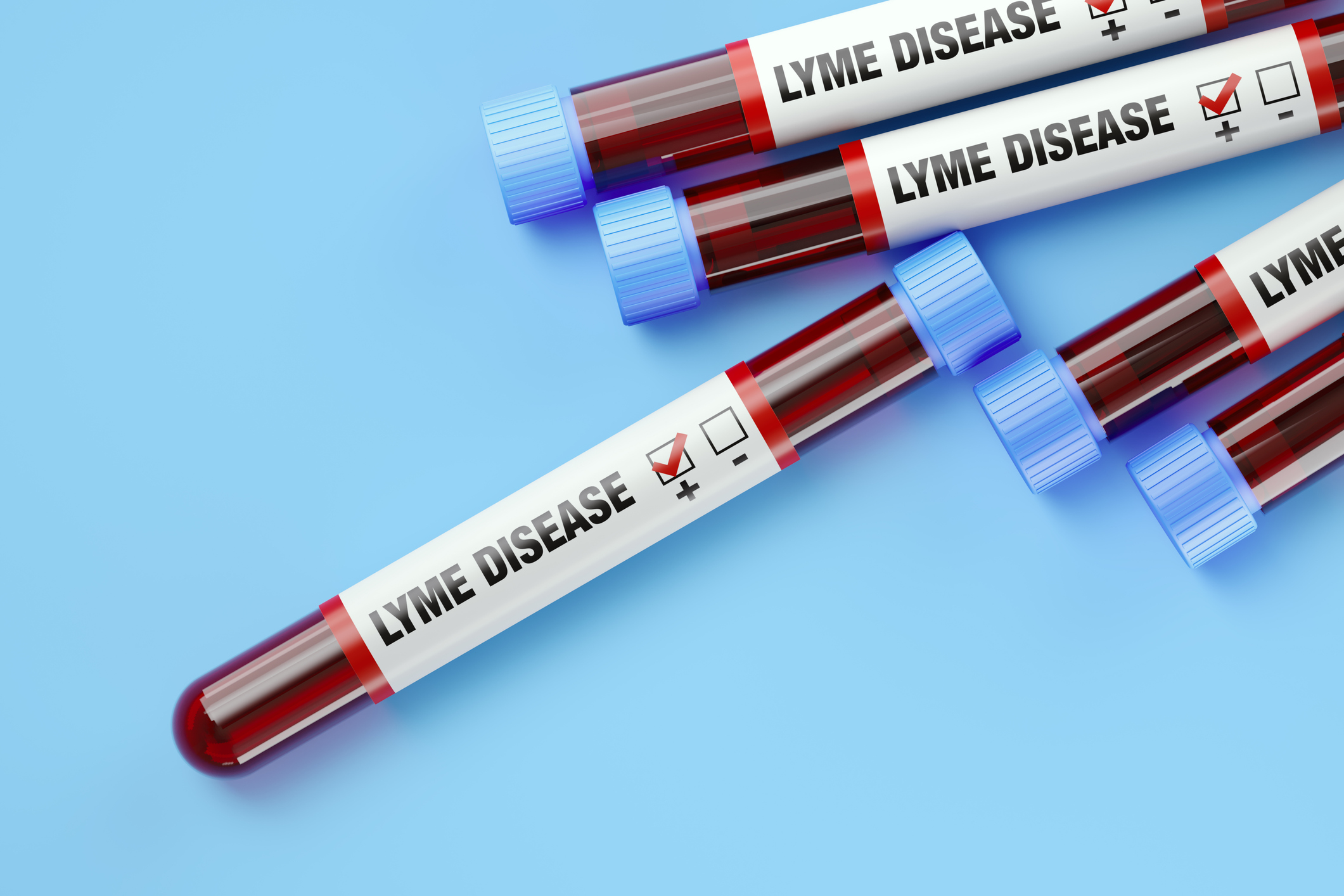 Lyme Disease