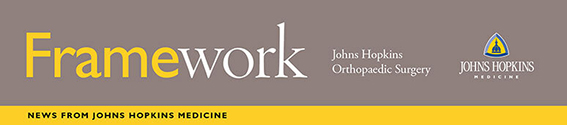 Framework (logo)