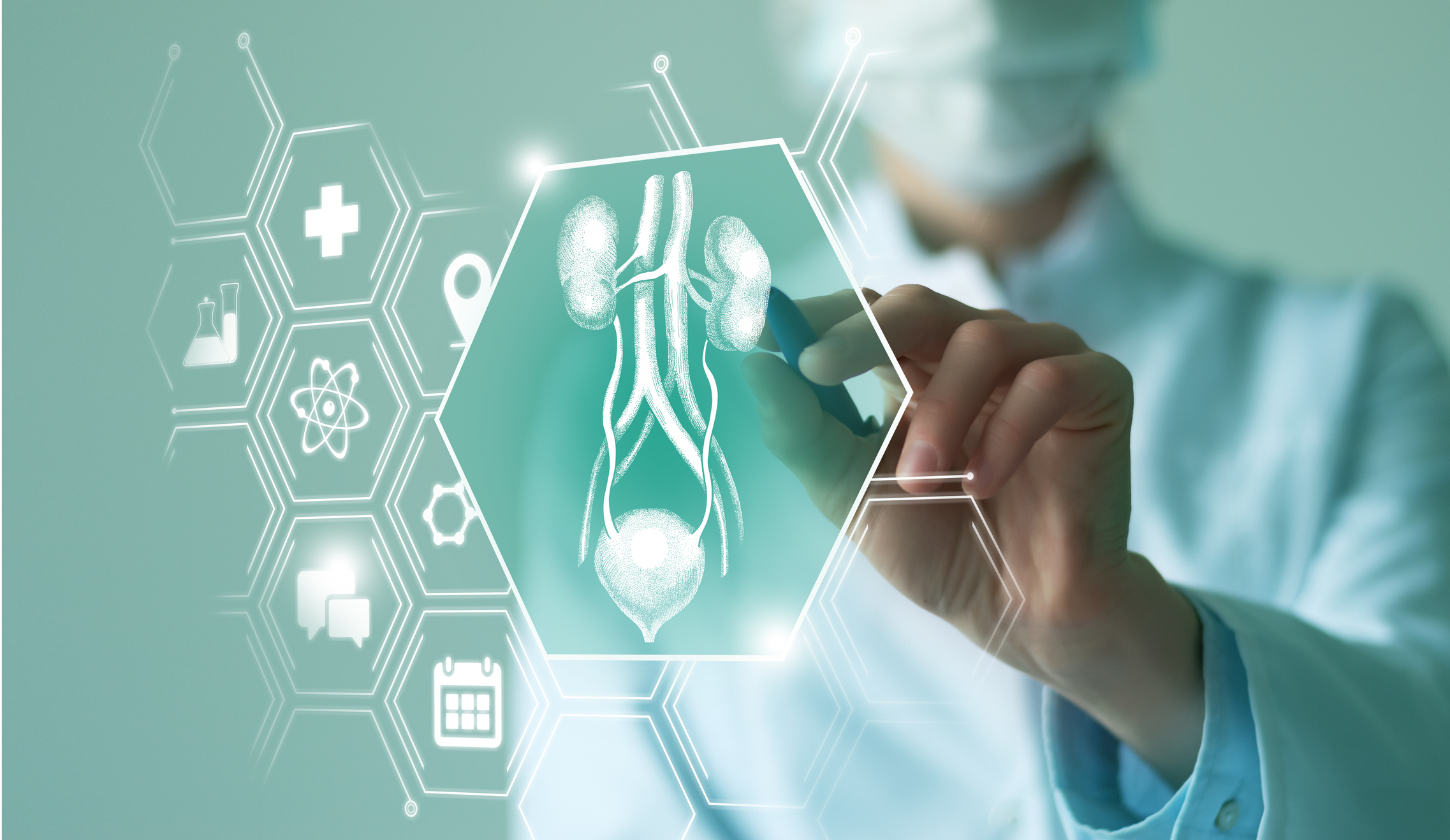 Kidney Graft