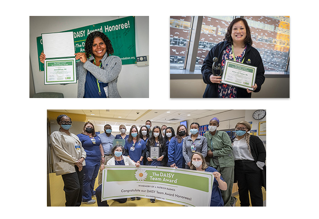 Three pictures of recent Daisy winners