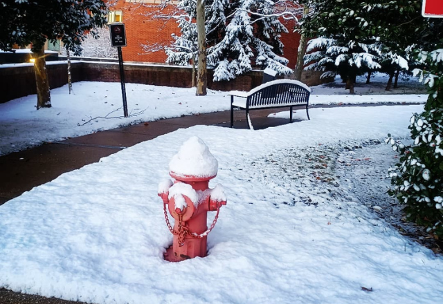 Photograph of a fire hydrant in a park covered in snow