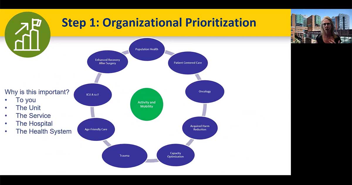 Screenshot of the Establishing Mobility as a Safety Quality Priority in the Hospital