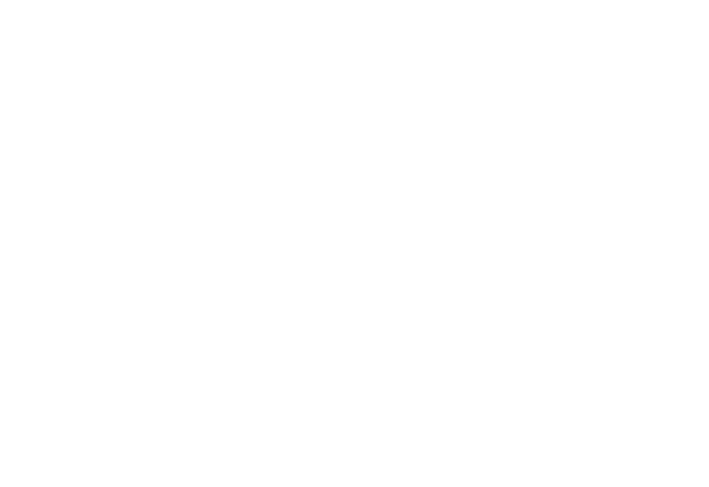 An icon of a soccer shoe kicking a soccer ball.