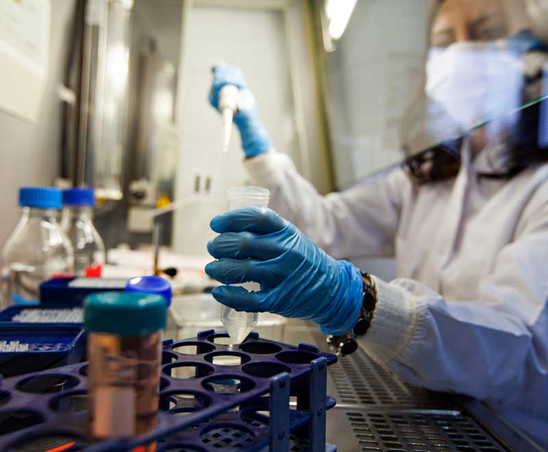 Female lab scientist pipettes in lab