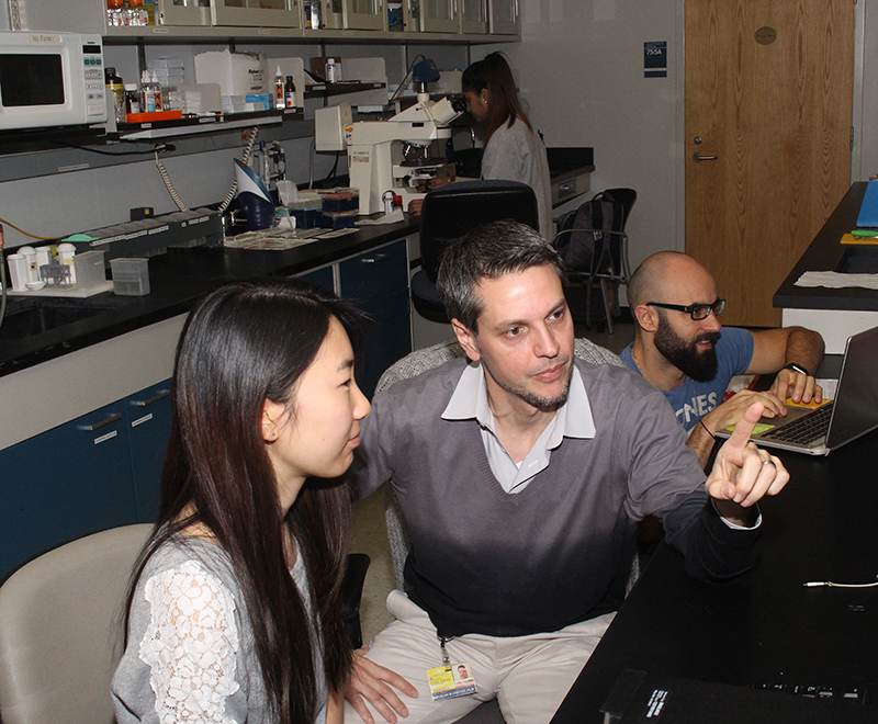 Collaboration in the lab.