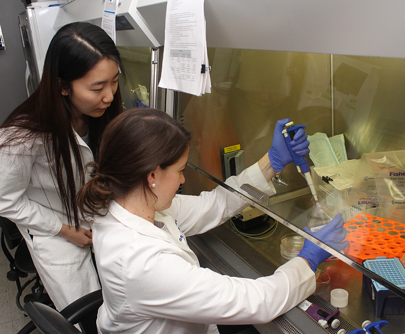 Students working in the lab
