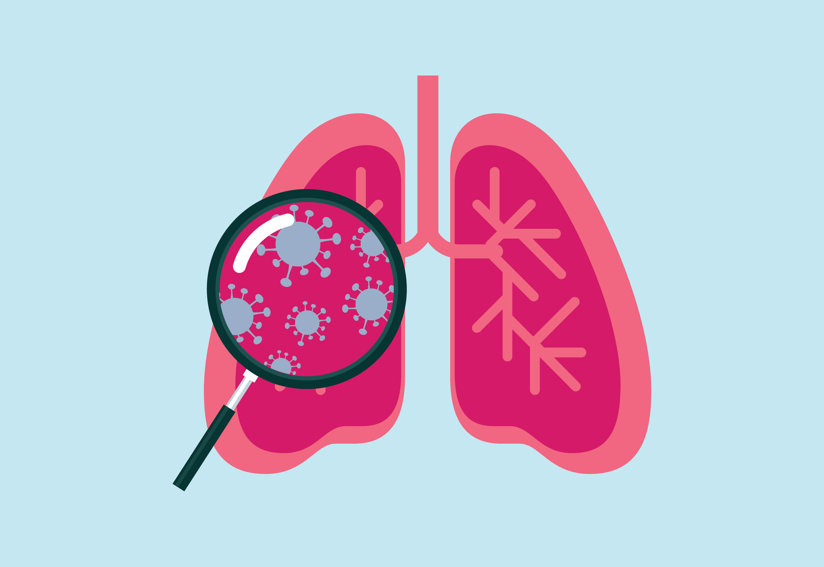 Icon of magnifying glass showing an enlarged view of a lung