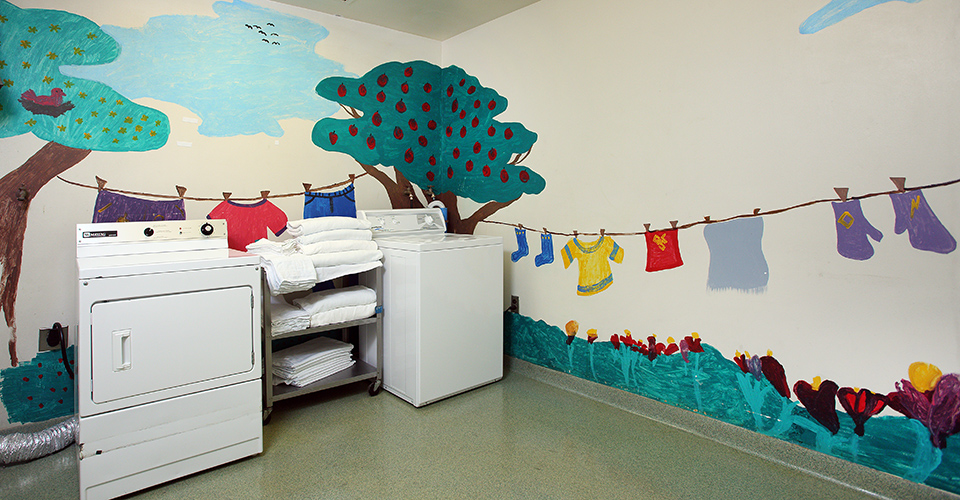 The laundry facilities available on the unit.