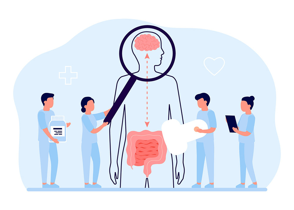 Brain gut connection illustration. At center, outline sketch of human with brain and gut. Four people, one holding a magnifying glass to the brain, one holding medicine vial, one holding an imaging devise to gut, and one holding a tablet.