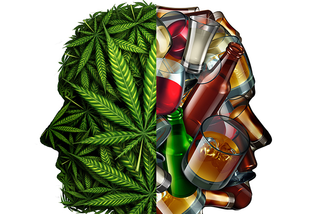Cannabis leaves and beer wine hard liquor glasses shaped as human heads