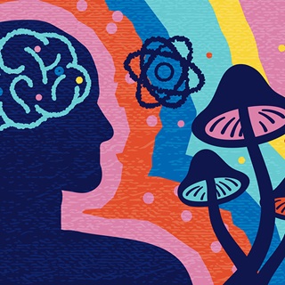 concept illustration human silhouette with brain and mushrooms and icons