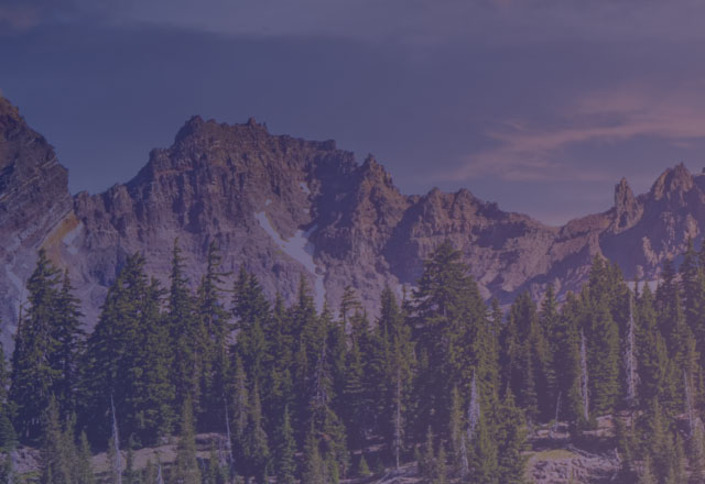 Pine trees in forefront with mountains and sky backdrop