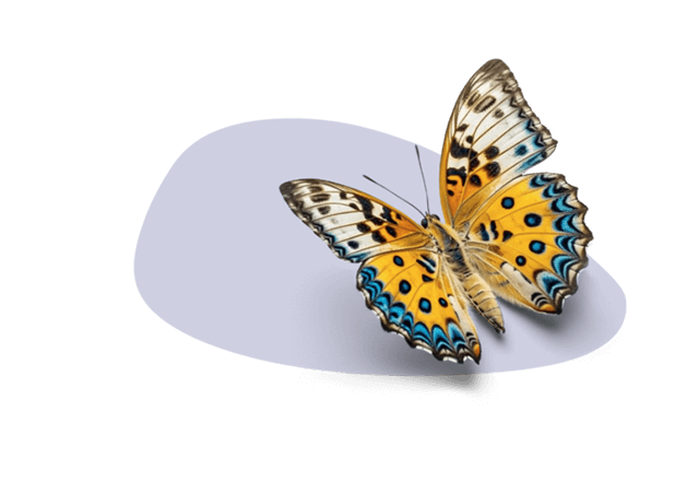 An image of a butterfly sitting on a organic purple shape.
