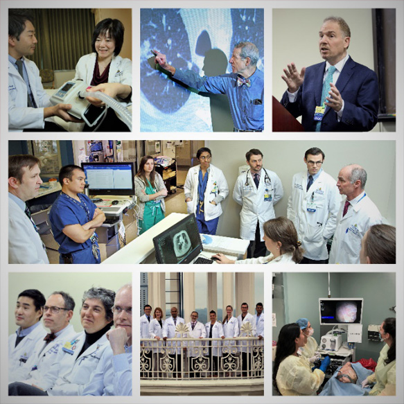 Hands-on training, lectures and conferences for fellows and residents