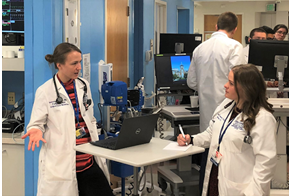 Doctors talking at a laptop